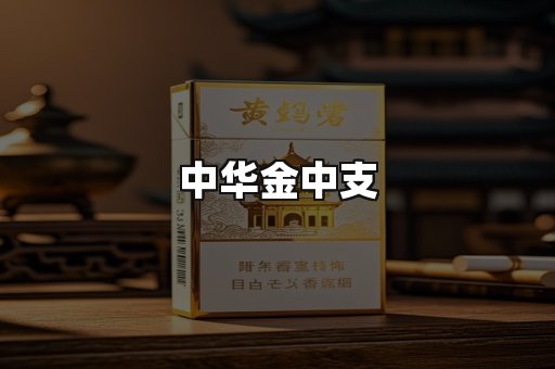 中华金中支